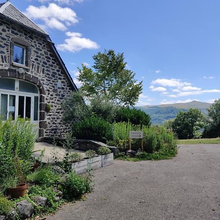 Maison D'Hotes La Grange Salers Eksteriør billede