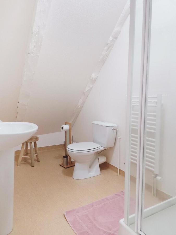 Maison D'Hotes La Grange Salers Eksteriør billede